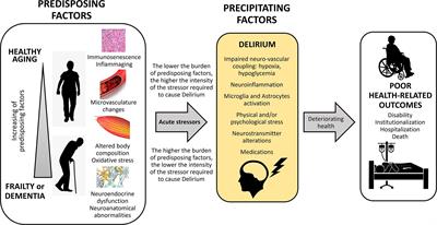 Delirium: A Marker of Vulnerability in Older People